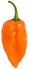 Dein Rezept mit Habanero Francisca